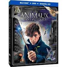 Les Animaux Fantastiques - Combo Blu-Ray + Dvd