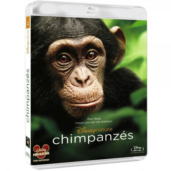 Chimpanzés - Blu-Ray